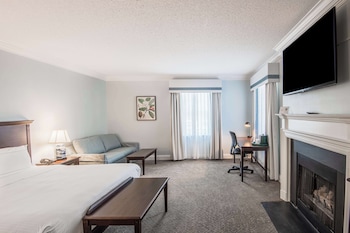 Room, 1 King Bed, Accessible, Fireplace (Accessible Bathtub)