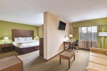 Deluxe Suite, 1 King Bed, Non Smoking
