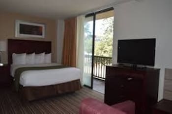Studio Suite, 1 Queen Bed, Non Smoking (Roll-In Shower)
