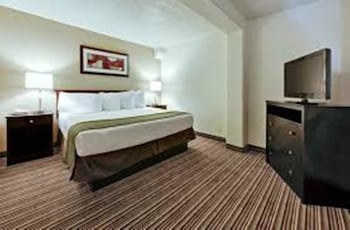 Studio Suite, 1 King Bed, Non Smoking (Roll-In Shower)