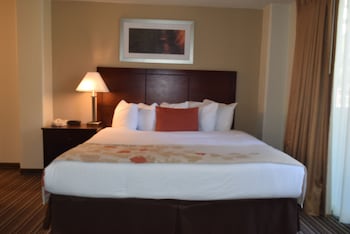 Studio Suite, 1 Queen Bed, Non Smoking (Roll-In Shower)