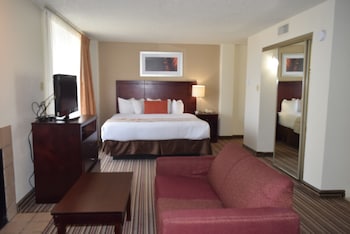 Studio Suite, 1 Queen Bed, Smoking