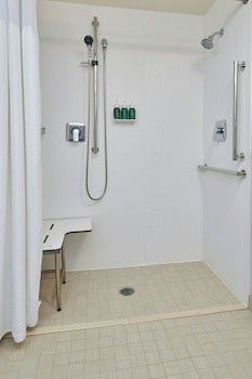 Room, 1 King Bed with Sofa bed (Mobility/Hearing Access, Roll-In Shwr)