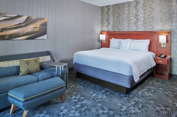 Room, 1 King Bed with Sofa bed (Mobility/Hearing Access, Roll-In Shwr)