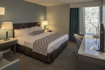 Standard Room, 1 King Bed