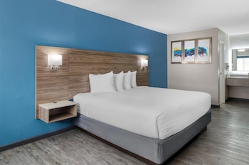 Standard Room, 1 King Bed, Non Smoking, Refrigerator & Microwave
