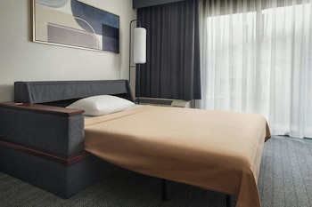Suite, 1 Bedroom