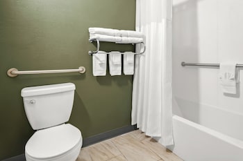 Room, 1 King Bed, Accessible, Bathtub