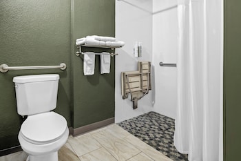 Room, 1 King Bed, Accessible (Mobility, Roll-In Shower)