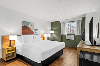 Room, 1 King Bed