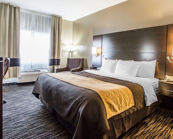 Standard Room, 1 King Bed, Non Smoking