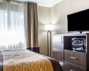 Suite, 1 King Bed, Non Smoking