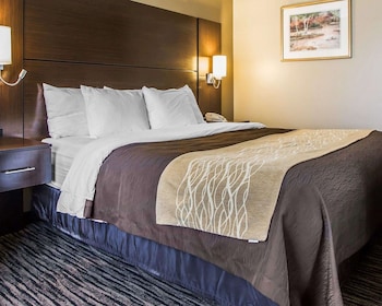 Standard Room, 1 King Bed, Non Smoking