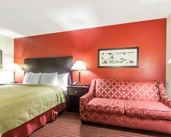 Standard Room, 1 King Bed with Sofa bed, Non Smoking