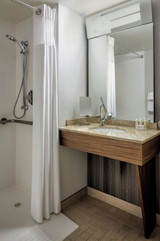 Room, 1 King Bed with Sofa bed, Hearing Accessible (Transfer Shower)