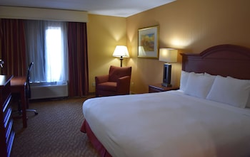Suite One King Bed