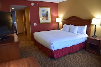 Room, 1 King Bed, Accessible, Non Smoking