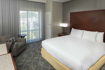 Premium Room, 1 King Bed, Accessible, Non Smoking