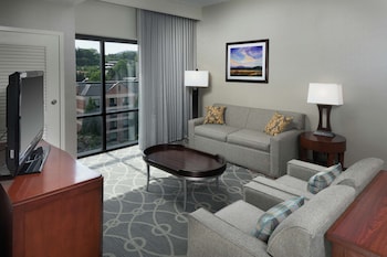 Premium Suite, Non Smoking