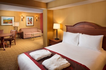 Junior Suite One Queen and One Sofa Bed