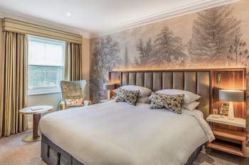 Plush Room