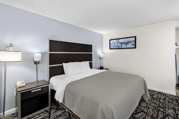 Room, 1 King Bed, Non Smoking