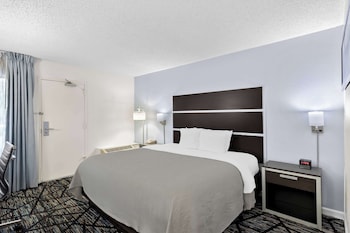 Room, 1 King Bed, Non Smoking