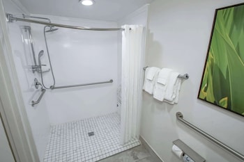 Room, 1 King Bed, Accessible, Non Smoking