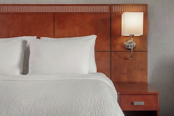 Room, 1 King Bed, Mountain View