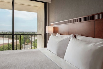 Room, 1 King Bed with Sofa bed
