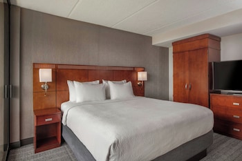 Room, 1 King Bed with Sofa bed (Mobility Accessible, Tub)