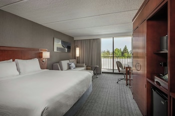 Room, 1 King Bed with Sofa bed (Mobility Accessible, Roll-in Shower)