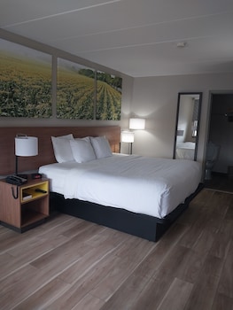 Room, 1 King Bed, Smoking