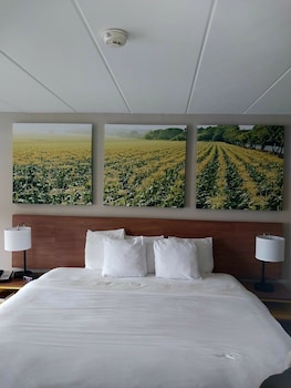 Room, 1 King Bed, Smoking