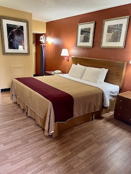 Standard Single Room, 1 King Bed, Smoking