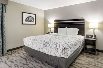 Suite, 1 King Bed, Non Smoking, Refrigerator & Microwave (Living Room;with Sofabed)