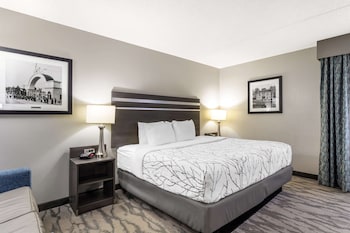 Standard Room, 1 King Bed, Accessible, Refrigerator & Microwave