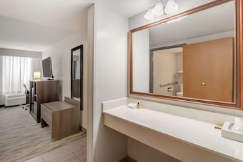 Standard Room, 1 King Bed, Accessible, Refrigerator & Microwave