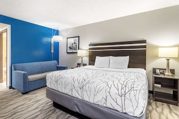 Standard Room, 1 King Bed, Accessible, Refrigerator & Microwave