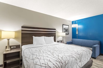 Standard Room, 1 King Bed, Accessible, Refrigerator & Microwave