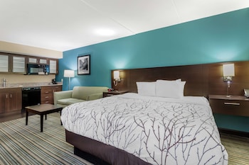 Suite, 1 King Bed, Non Smoking, Kitchenette (with Sofabed)