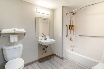 Standard Room, 1 King Bed, Accessible, Refrigerator & Microwave