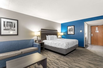 Standard Room, 1 King Bed, Non Smoking, Refrigerator & Microwave (with Single Sofabed;Larger Room)