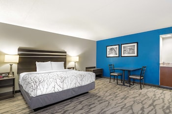 Suite, 1 King Bed, Non Smoking, Refrigerator & Microwave (Living Room;with Sofabed)