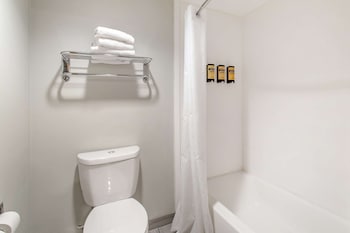 Standard Room, 1 King Bed, Non Smoking, Refrigerator & Microwave (with Single Sofabed;Larger Room)