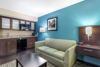 Suite, 1 King Bed, Non Smoking, Kitchenette (with Sofabed)