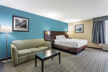 Suite, 1 King Bed, Non Smoking, Kitchenette (with Sofabed)