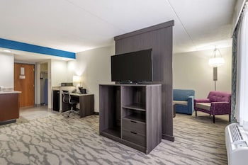 Suite, 1 King Bed, Non Smoking, Refrigerator & Microwave (Living Room;with Sofabed)
