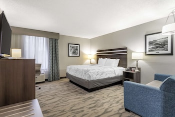 Standard Room, 1 King Bed, Accessible, Refrigerator & Microwave