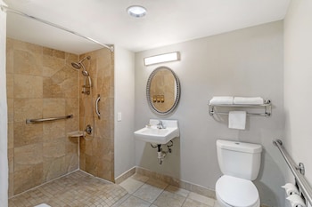 Standard Room, 1 King Bed, Accessible, Refrigerator & Microwave